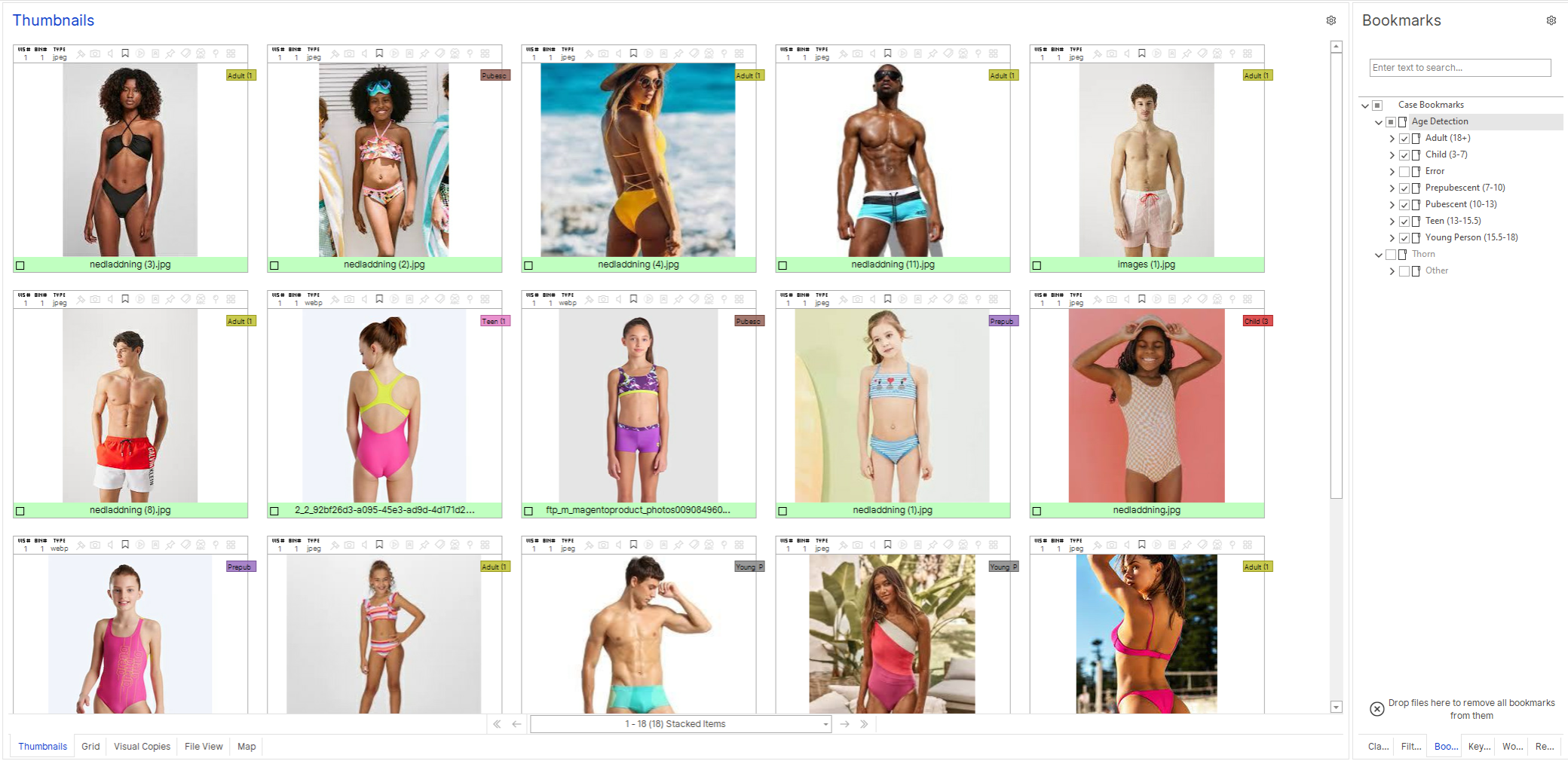 Rigr AI age estimation results displayed within the Griffeye Analyze forensic image analysis interface