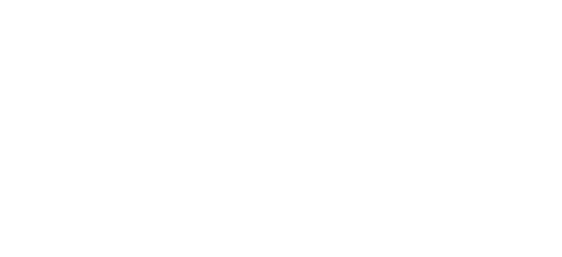 Rigr AI